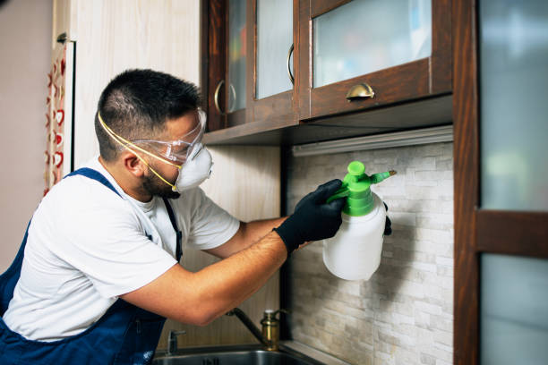 Best Bed Bug Extermination  in Warren Af, WY