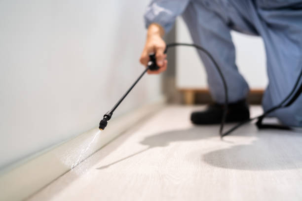 Best Termite Control Services  in Warren Af, WY